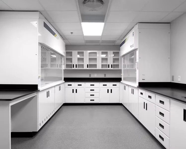 Comprehensive Laboratory Cabinet with Fumehood - Advanced Research Safety Solution Model 4