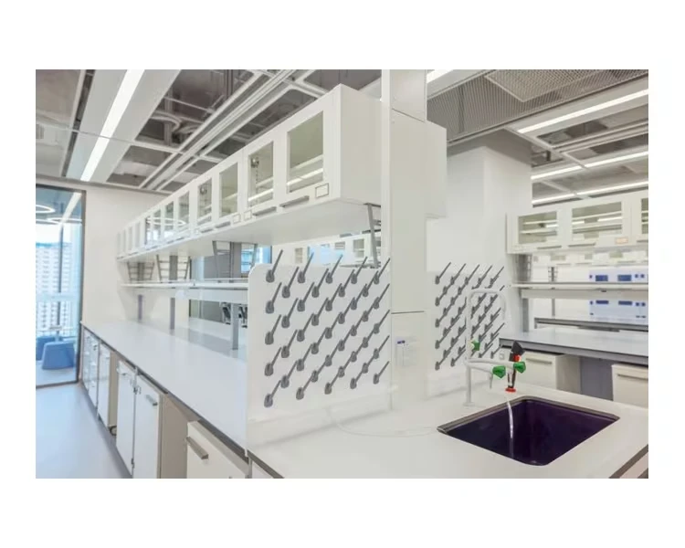 Pedestal System Laboratory Furniture - Versatile Storage and Workspace Solutions