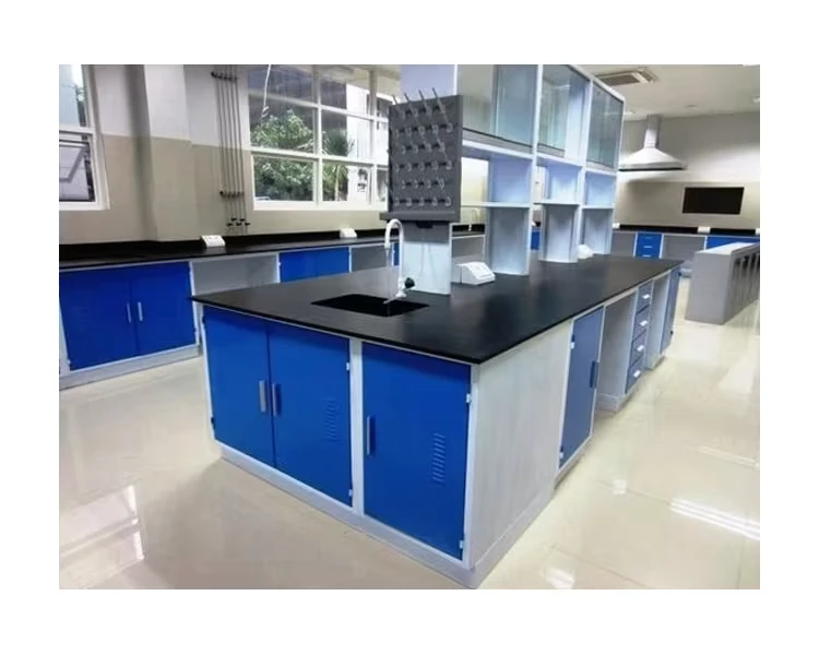Plinth Type Laboratory Workstations - Ergonomic and Customizable Design